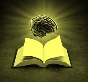 reader-brain